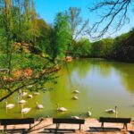 İstanbul Ve Yakınında Yer Alan Hayvanat Bahçeleri 13 60e4257bd9c8ba426888ec6af8f05e7f 1