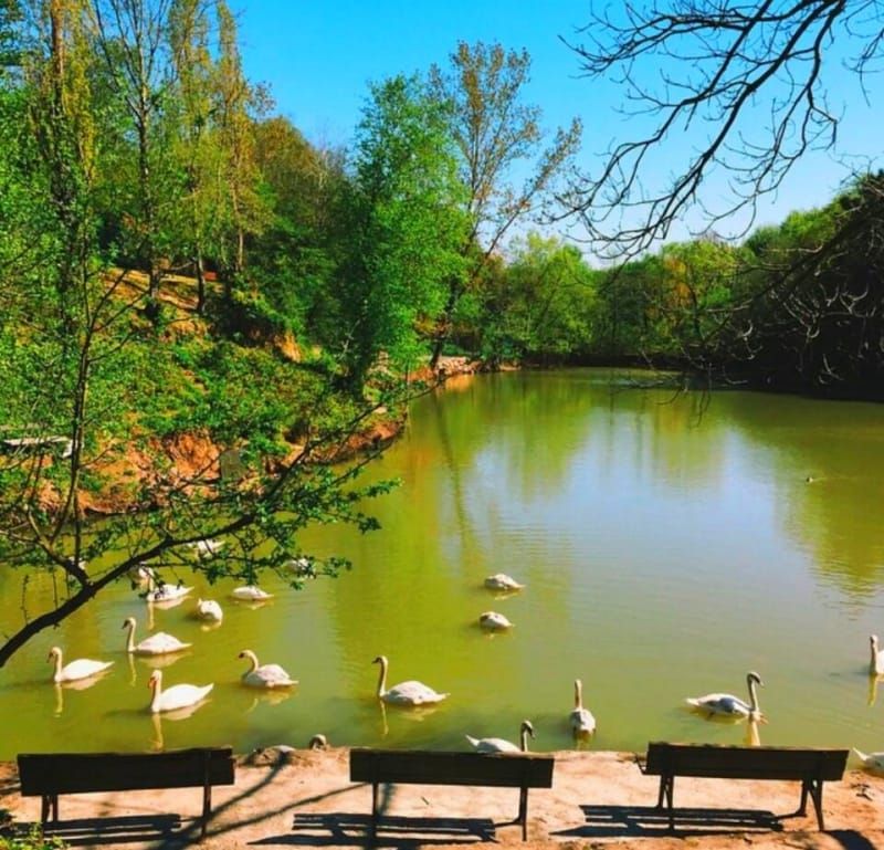 7 60e4257bd9c8ba426888ec6af8f05e7f 1