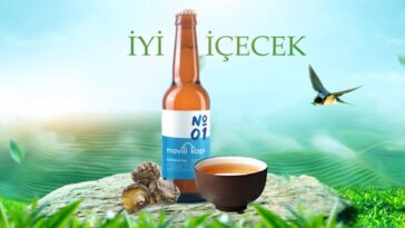 b2ap3 large Kombucha