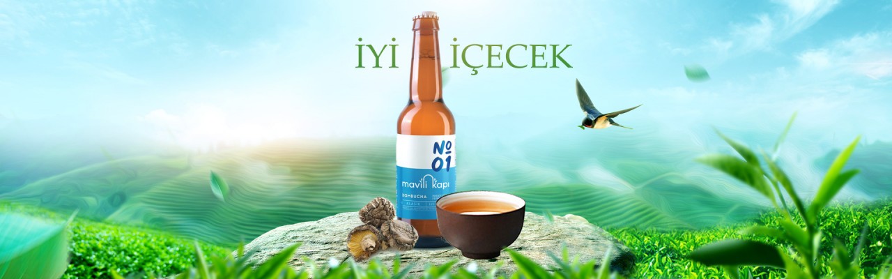 b2ap3 large Kombucha