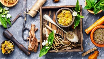 b2ap3 large dogal kur