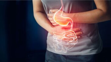 b2ap3 large kabizlik