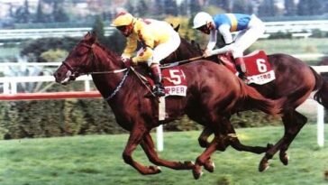 b2ap3 large yarisati