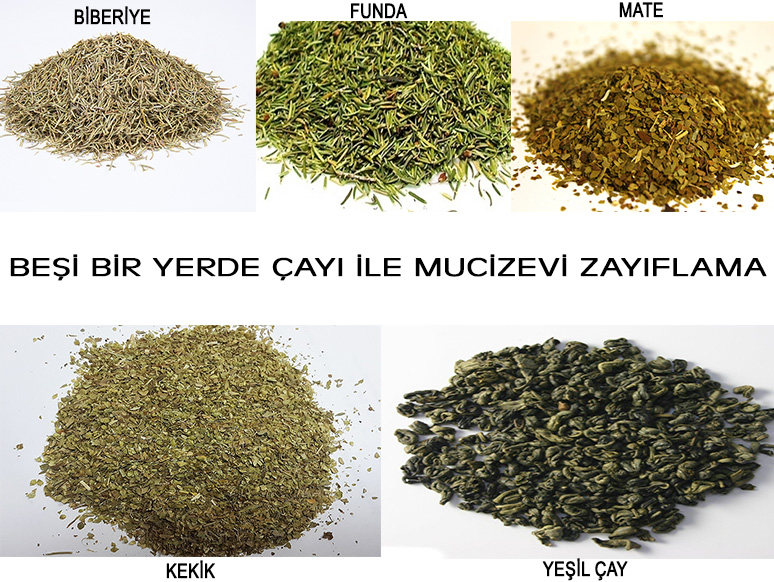 BESIBIRYERDECAYI
