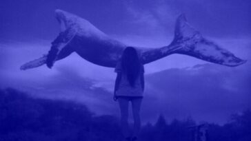 b2ap3 large mavibalina