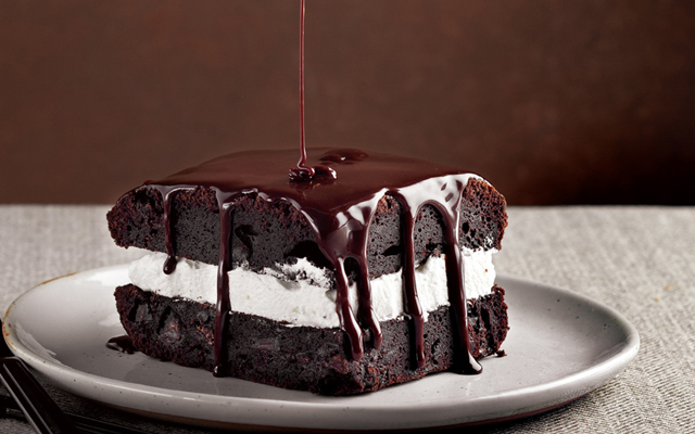 Çikolata aşkıyla ölenler için : Dondurmalı Islak Kek 11 dondurmalikek