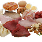 Protein tüketin. 13 h6