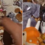 instagram yakinlastirma