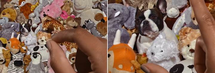 instagram yakinlastirma