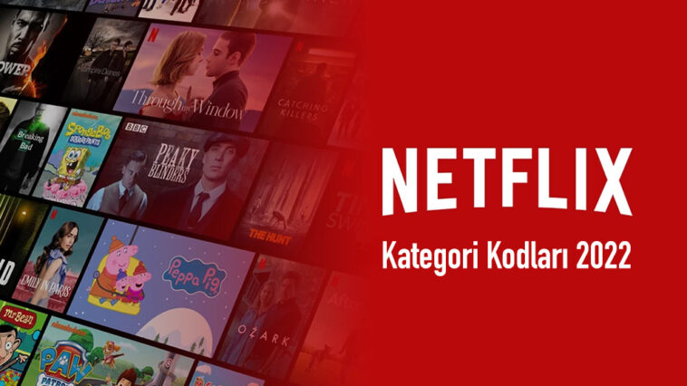 Netflix Kodları
