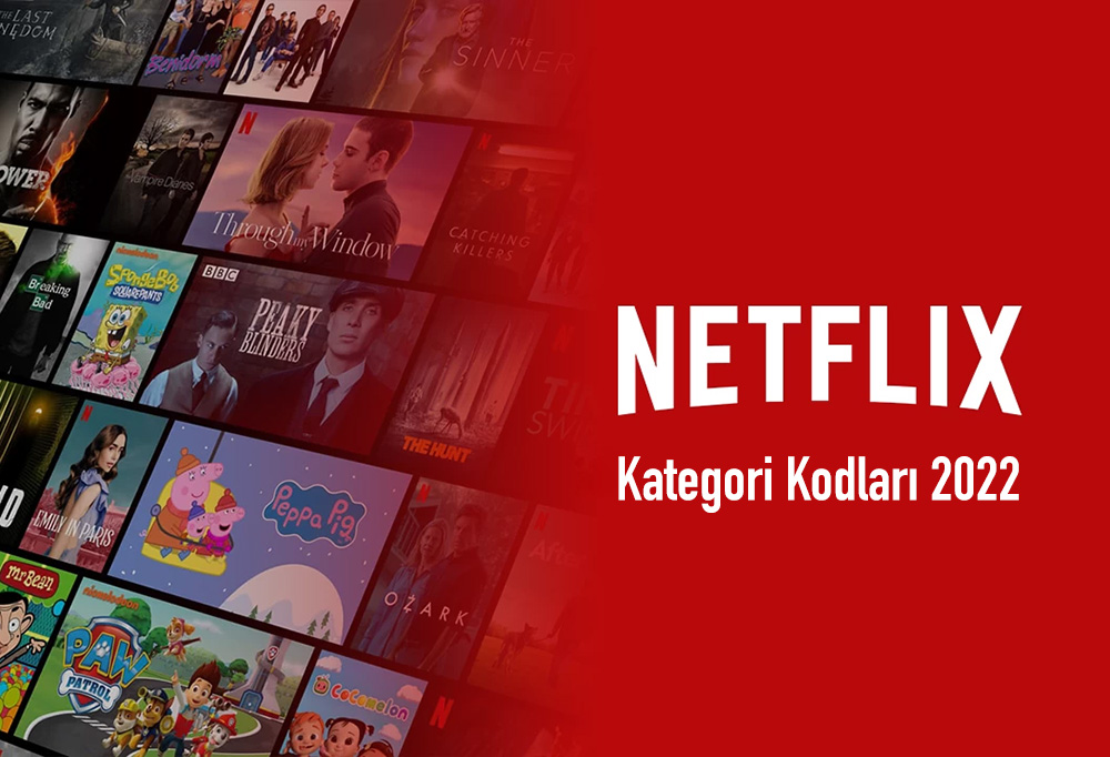 Netflix Kodları