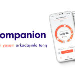 Kompanion 12 Kompanion