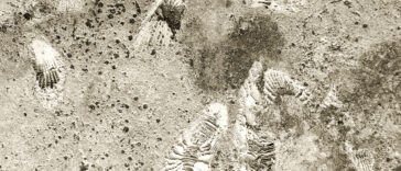 Nesli Tükenen Hayvanlar