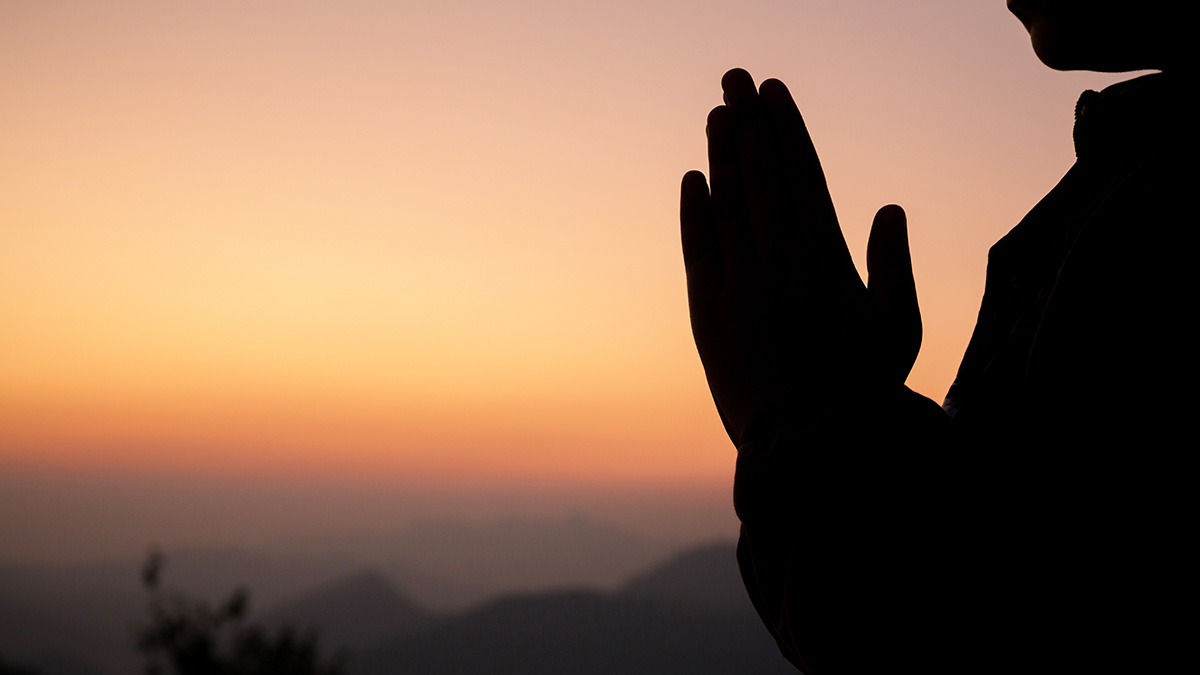 Para Aşk Başarı Hangisini Çoğaltmak İstersin