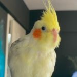 Profil fotoğrafı
